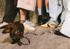 D$$ LEOPARDS SOCKS (BROWN)