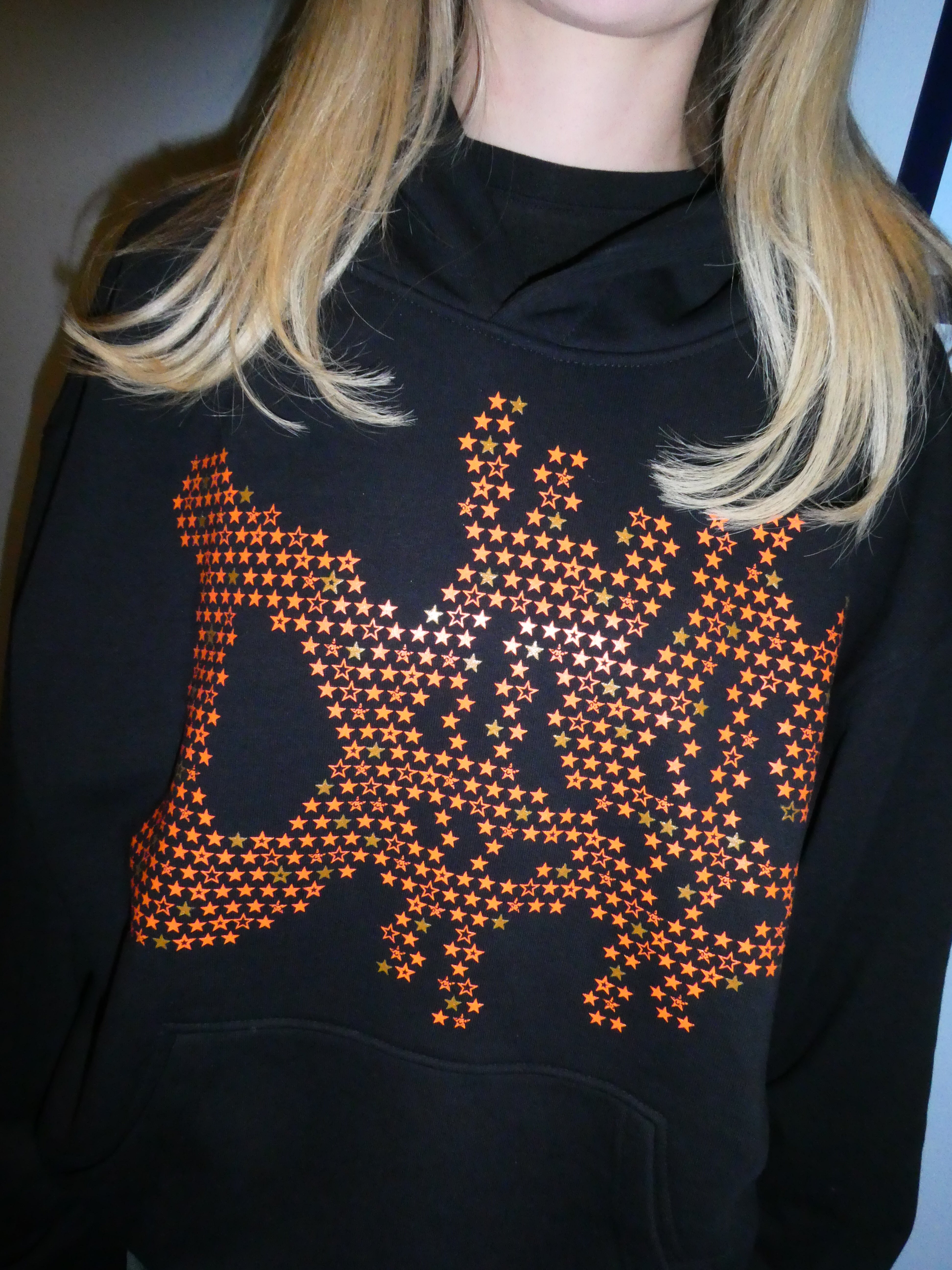 D$$ STARS HOODIE